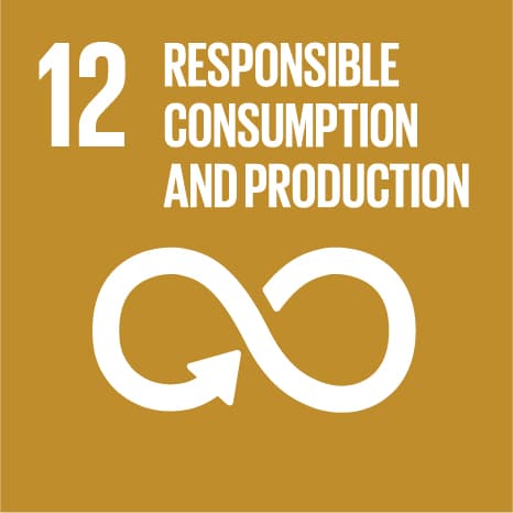 SDG 12 – Nachhaltige/r Konsum & Produktion