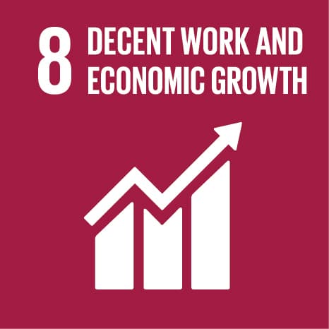 SDG 8 – Menschenwürdige Arbeit & Wachstum