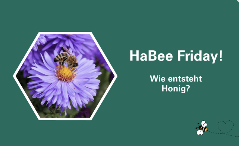 Summendes Wissen