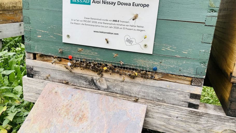 Aioi Nissay Dowa Insurance Company of Europe SE