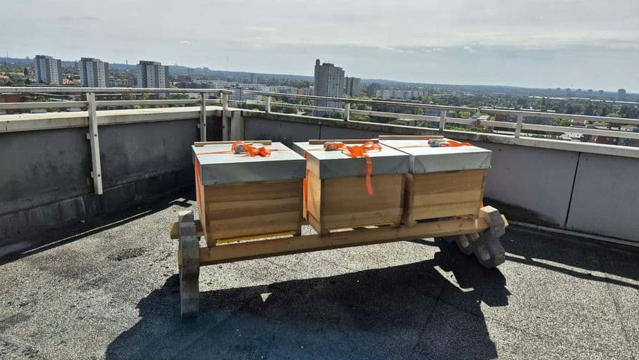 Firmenbienen-Projekt von Berlinovo Immobilien Gesellschaft mbH