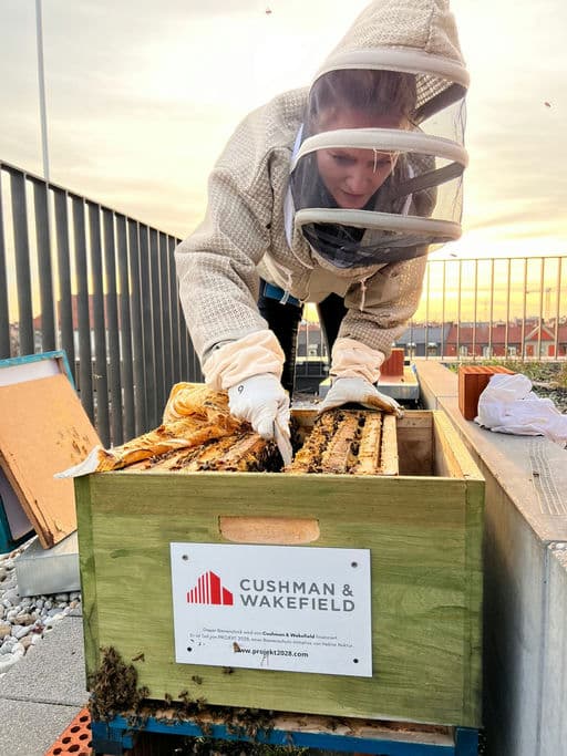 Cushman & Wakefield