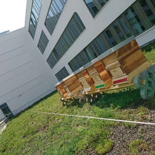 eins energie in sachsen GmbH & Co KG