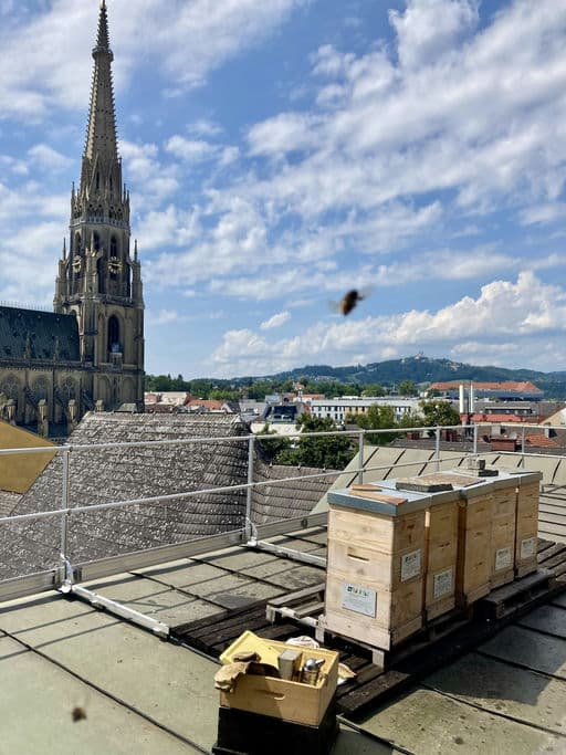 Konventhospital Barmherzige Brüder Linz