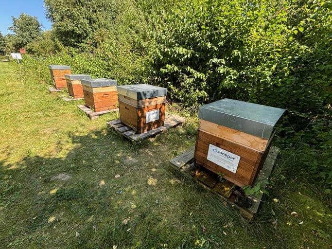 Sonepar Deutschland GmbH