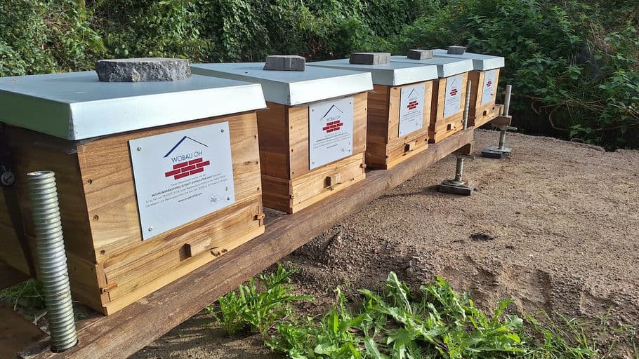 WOHNUNGSBAUGESELLSCHAFT OSTHOLSTEIN mbH